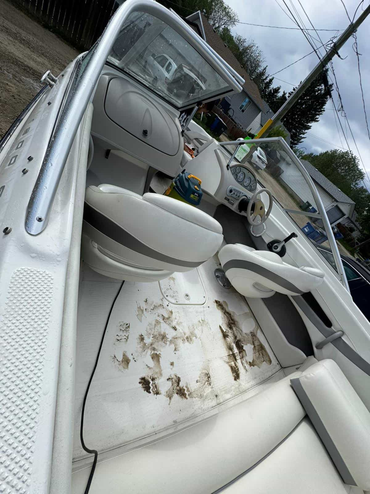 Professional interior detailing