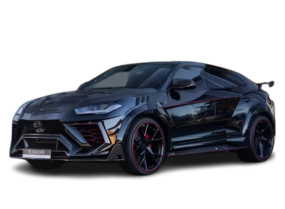 Professional ceramic coating detail work