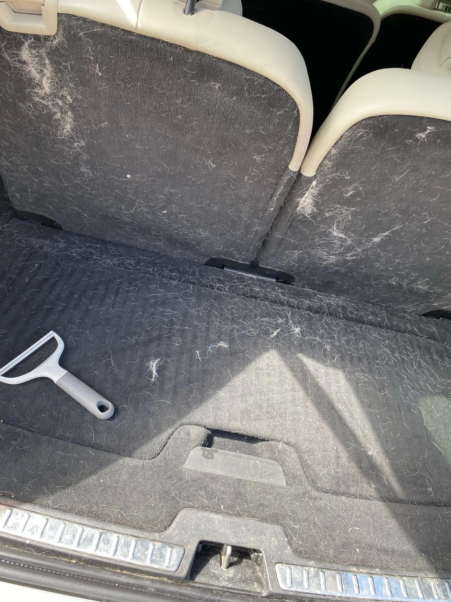 Before interior detailing - pet hair and dirt